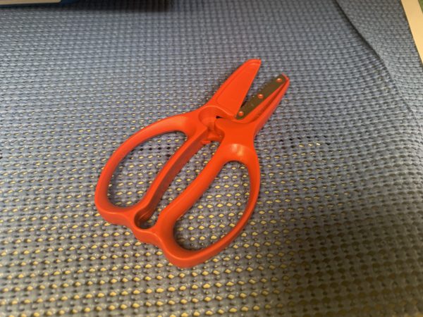 Fiskars Preschool Training Scissors